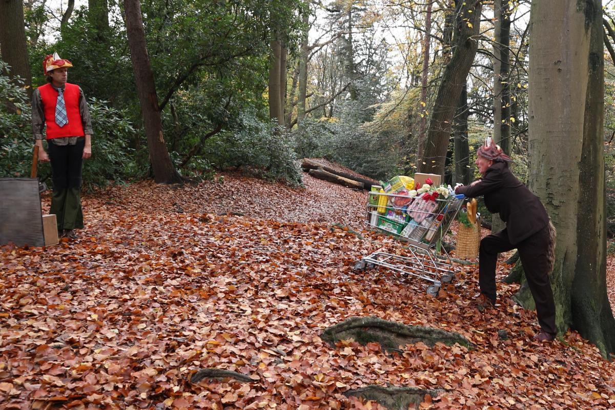 De Vos in het bos De Vos in het bos